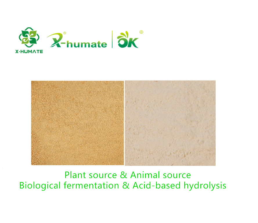 amino acid fertilizer amino acids fertilizer plant source amino acid
